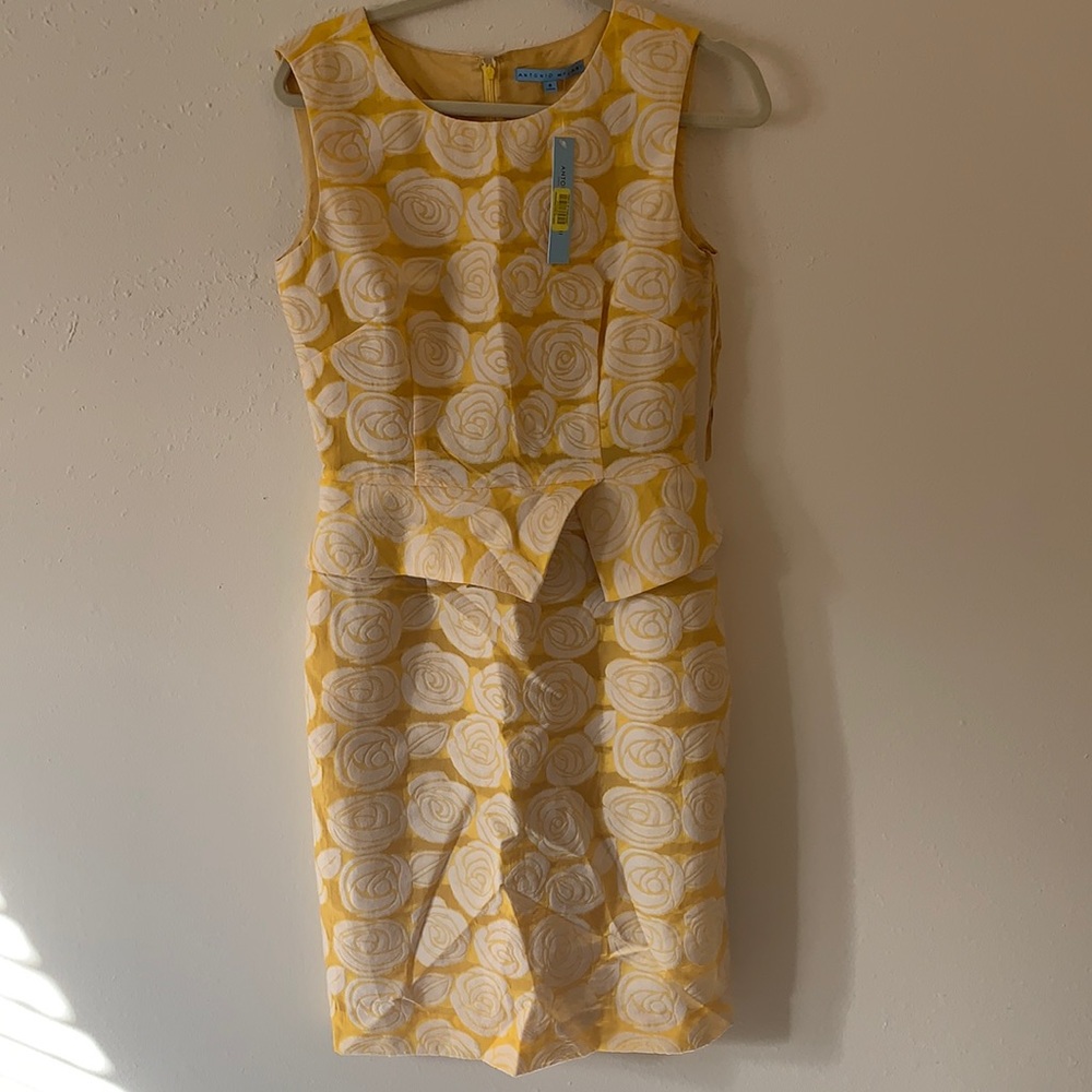 Antonio Melani dress